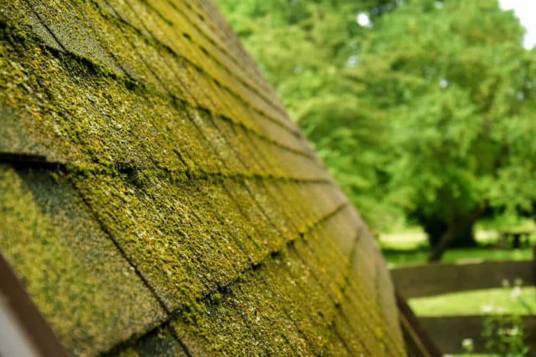 how-to-remove-moss-from-roof-shingles-perfect-exteriors